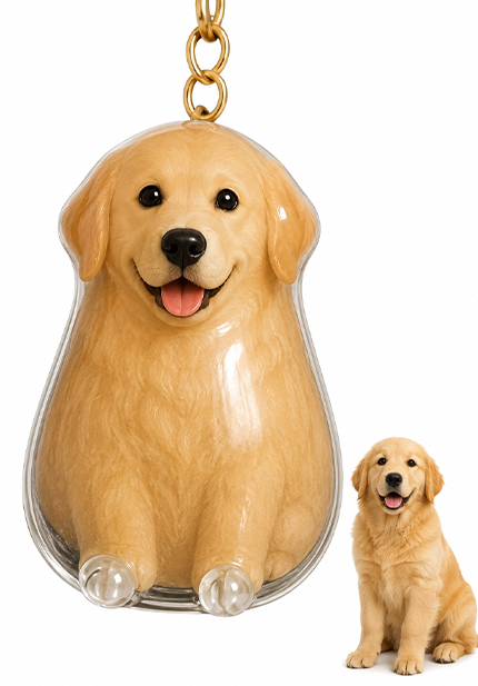 🐾Pet Hair Memorial Capsule Keychain