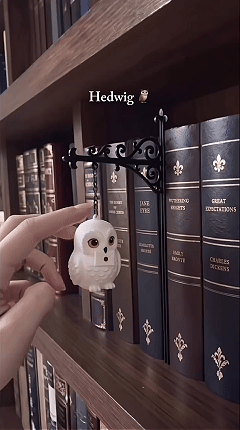 🔥 LIMITED TIME 49% OFF – 📚✨ Enchanted Hanging Bookshelf Light | Soft Ambient Lantern Glow for Reading Nooks, Bookcases & Cozy Book Lover Gifts 🕯️