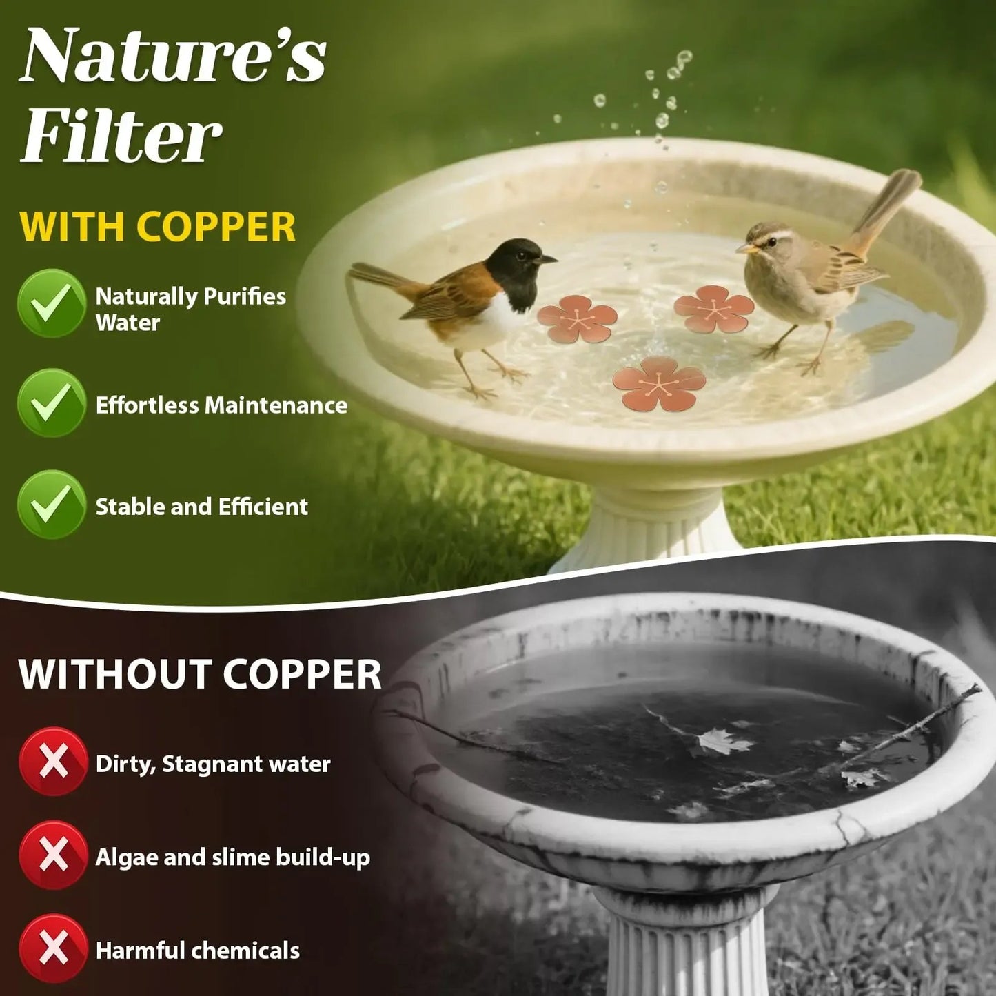 3Pcs Copper Cleaning Discs for Bird Baths