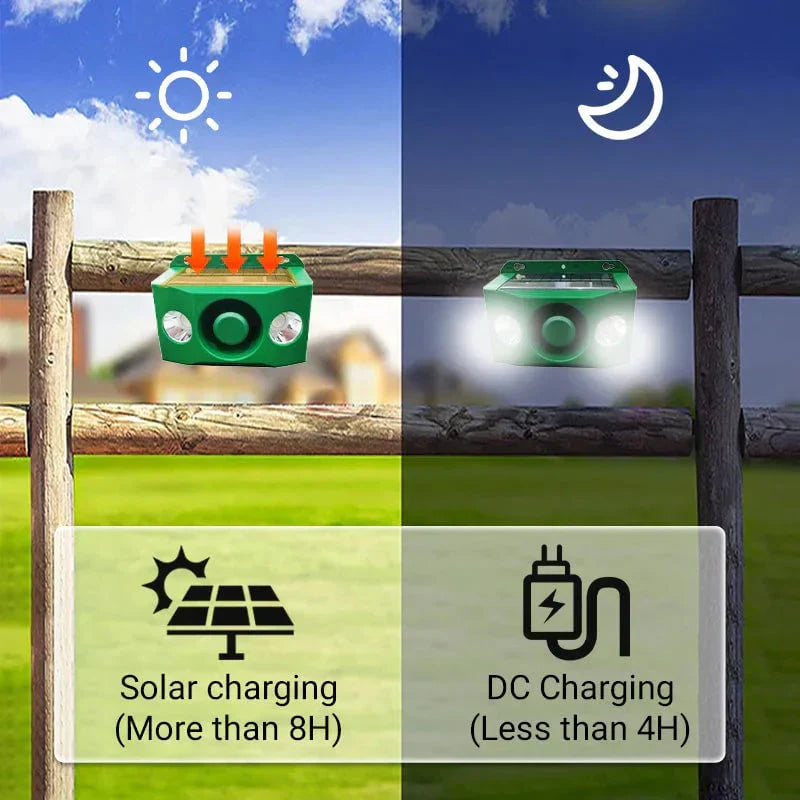 Powerful Solar Predator Deterrent Lights for Enhanced Protection