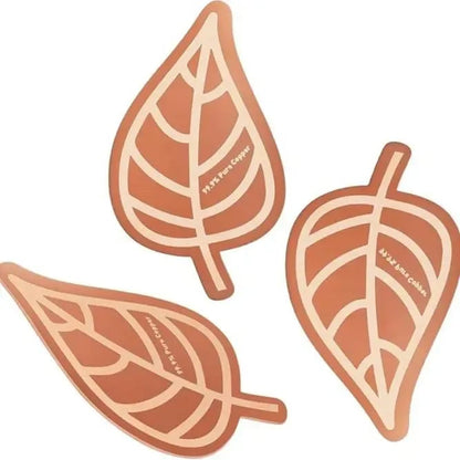 3Pcs Copper Cleaning Discs for Bird Baths