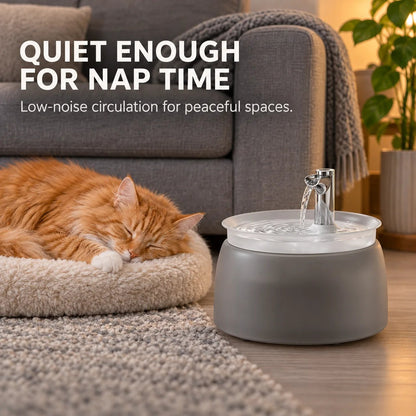 Filtered Cat Water Fountain – Circulating Pet Drinking Station