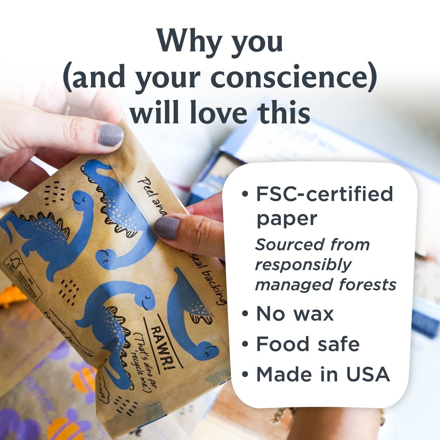 Kids Recyclable Paper Snack Bags, Sealable Dinosaur Design 50 Count Food Sacks
