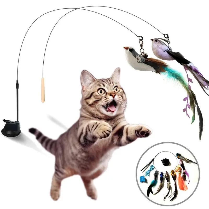 LAST DAY PROMOTION SALE 49% OFF💖Cat Toy Wand Auto Interactive Toys for Indoor Cat 8 in 1 Hands-Free Natural Bird Feather Ball Toys