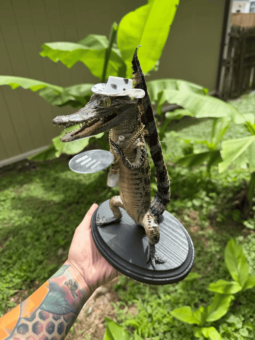 🐊 Cocne Aligator Figurine / Collectible