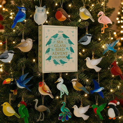 🔥Limited Edition, Only 100 Sets Left! - 🐦Bird Advent Calendar 2026