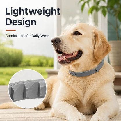 Adjustable Dog Collar with Fresh Scent Comfortable Lightweight Pet Collar