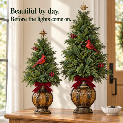 Cardinal Glow Trees displayed in daylight before the lights come on
