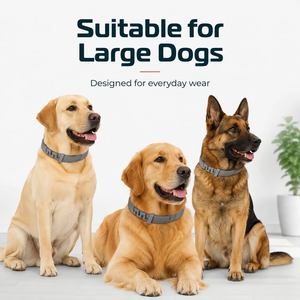 Adjustable Dog Collar with Fresh Scent Comfortable Lightweight Pet Collar