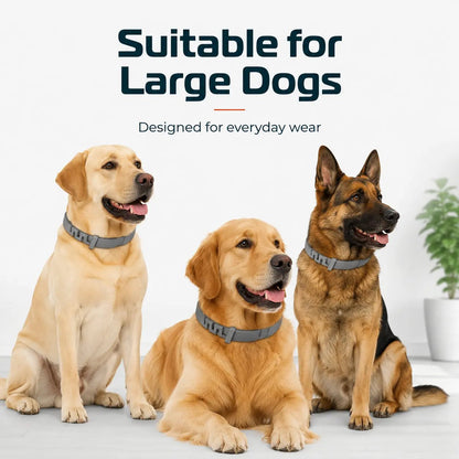 Adjustable Dog Collar with Fresh Scent Comfortable Lightweight Pet Collar