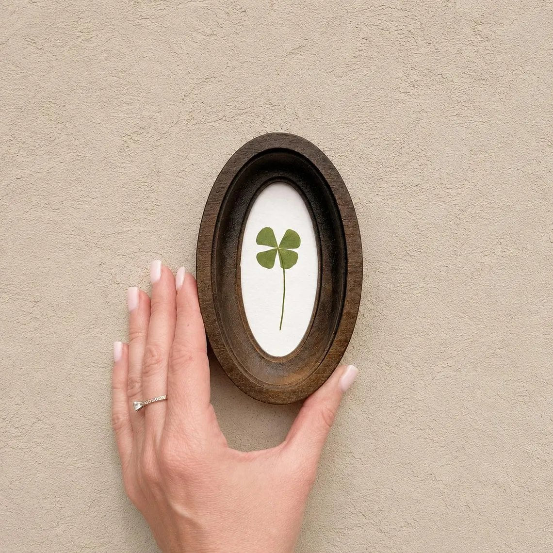 🍀Four-Leaf Clover in Oval Frame, Good Luck Charm, Pressed Clover, Handmade Botanical Decor