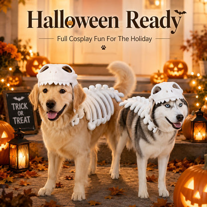 🦖 Glow In Dark Dinosaur Skeleton Dog Costume