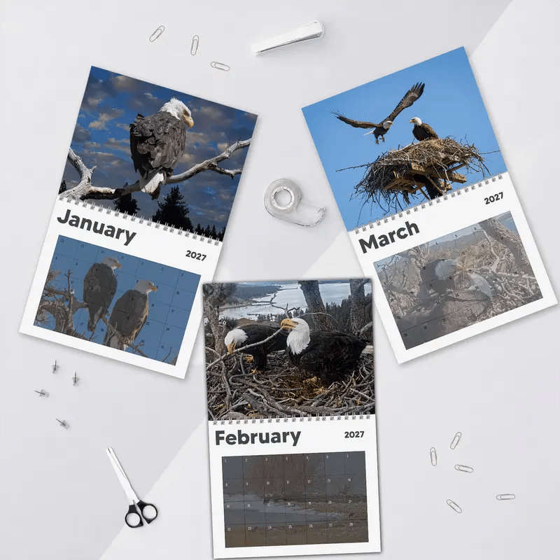 Jackie & Shadow 2027 Bald Eagle Wall Calendar
