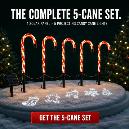 🎄Solar Candy Cane Projector Pathway Lights – Light the Way to Christmas