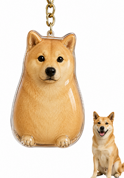 🐾Pet Hair Memorial Capsule Keychain