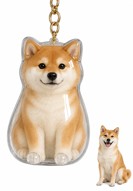 🐾Pet Hair Memorial Capsule Keychain