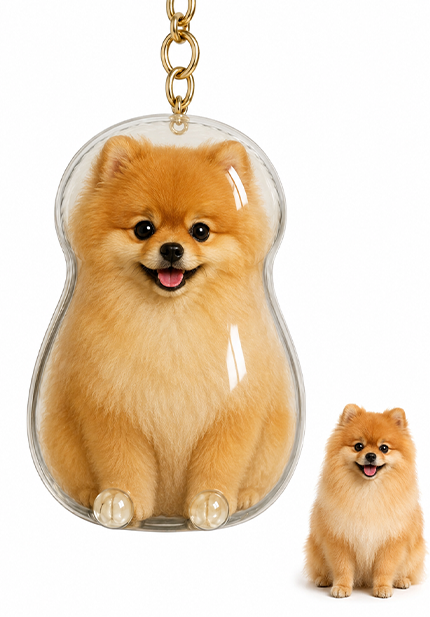 🐾Pet Hair Memorial Capsule Keychain