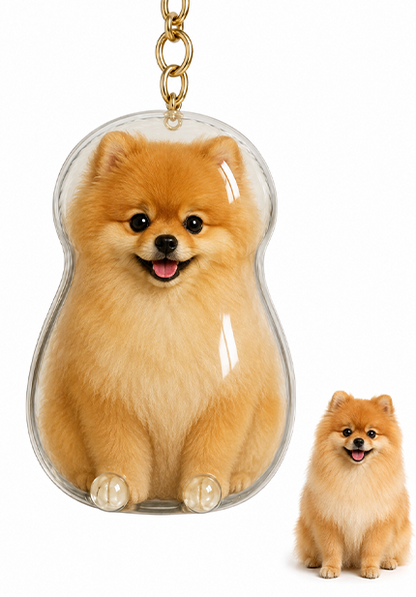🐾Pet Hair Memorial Capsule Keychain