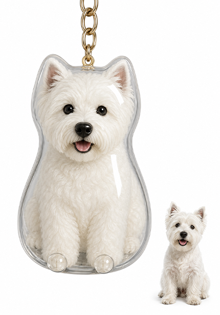 🐾Pet Hair Memorial Capsule Keychain