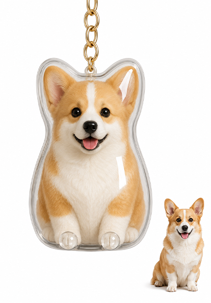 🐾Pet Hair Memorial Capsule Keychain