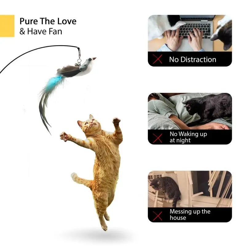 LAST DAY PROMOTION SALE 49% OFF💖Cat Toy Wand Auto Interactive Toys for Indoor Cat 8 in 1 Hands-Free Natural Bird Feather Ball Toys