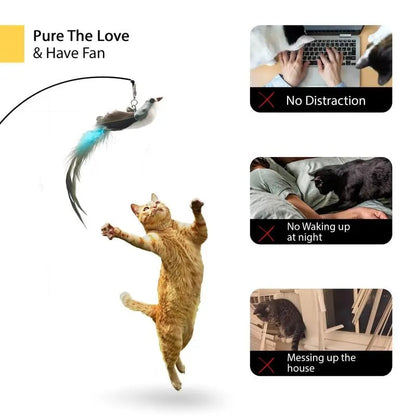 LAST DAY PROMOTION SALE 49% OFF💖Cat Toy Wand Auto Interactive Toys for Indoor Cat 8 in 1 Hands-Free Natural Bird Feather Ball Toys