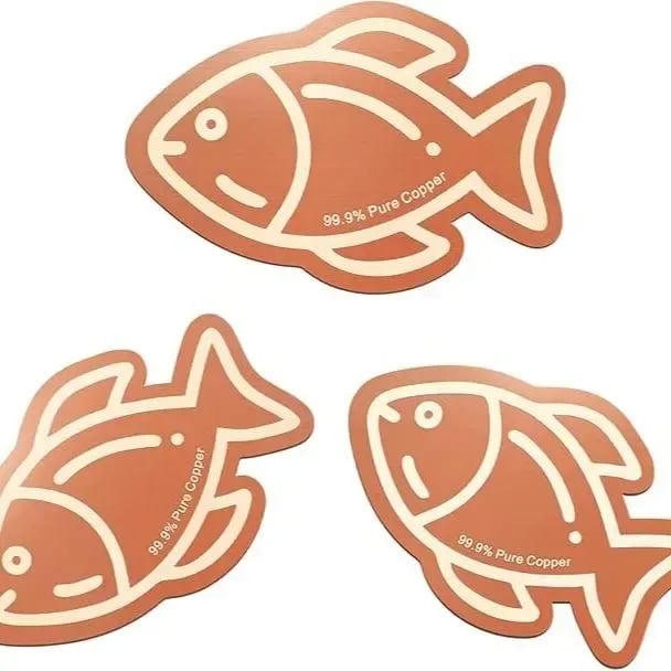 3Pcs Copper Cleaning Discs for Bird Baths