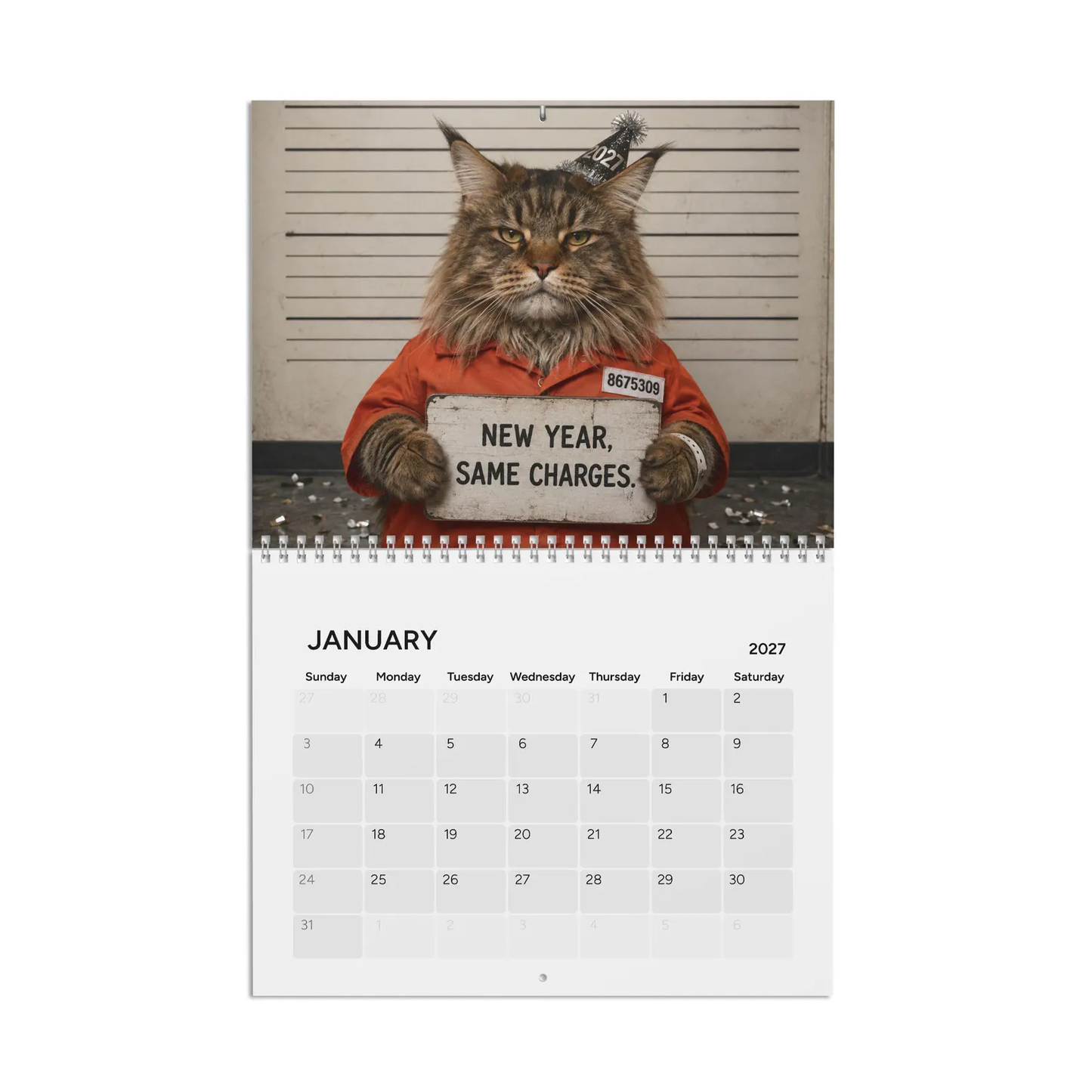Funny Cat Mugshots 2027 Wall Calendar – 12 Guilty Cats