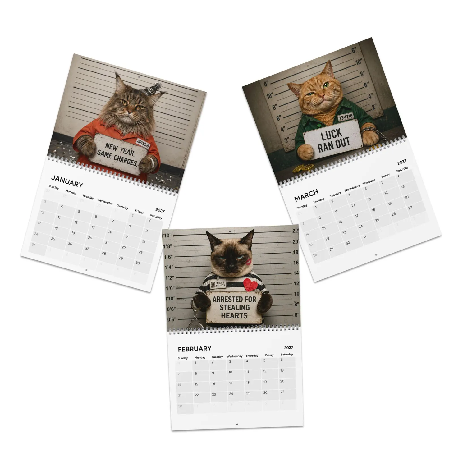 Funny Cat Mugshots 2027 Wall Calendar – 12 Guilty Cats