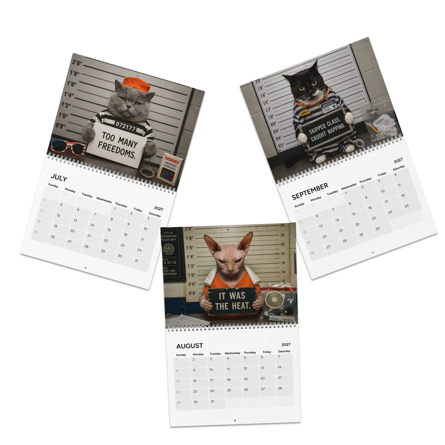 Funny Cat Mugshots 2027 Wall Calendar – 12 Guilty Cats