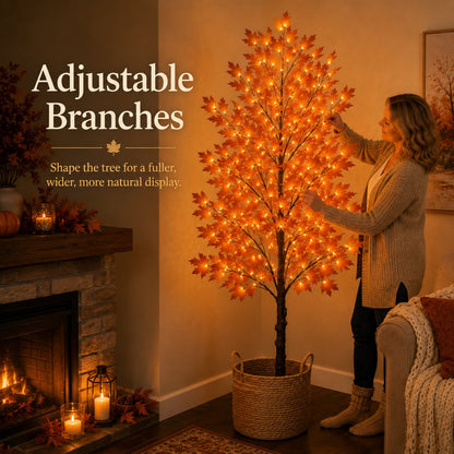 Lighted Autumn Maple Tree