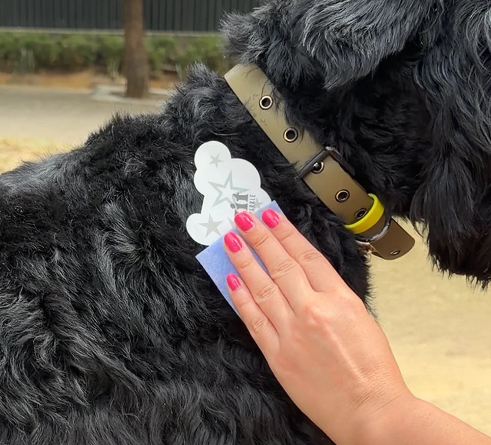 💫Temporary Dog Fur Tattoos – Waterproof, Pet-Safe & Easy to Remove | 4 Patches Per Pack🐾
