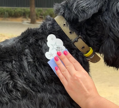 💫Temporary Dog Fur Tattoos – Waterproof, Pet-Safe & Easy to Remove | 4 Patches Per Pack🐾