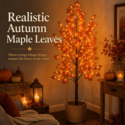 Lighted Autumn Maple Tree