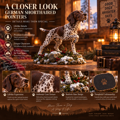 24 Days of German Shorthaired Pointers - 24 Adventures, One Loyal Companion