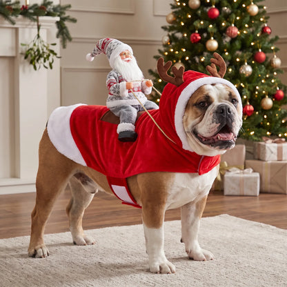 ⭐️🎅 SantaRider™ Christmas Dog Costume-Turn Your Dog Into Santa’s Funniest Christmas Ride! 🐶🎄