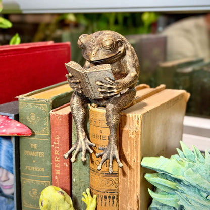 🐸Last Day 60% OFF - Reading Frog Shelf Sitter