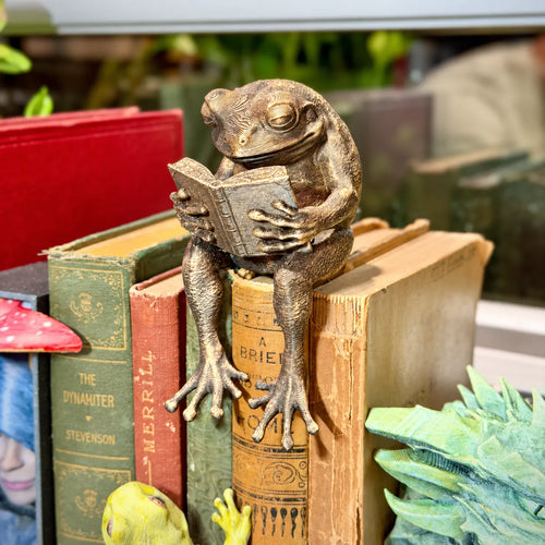 🐸Last Day 60% OFF - Reading Frog Shelf Sitter