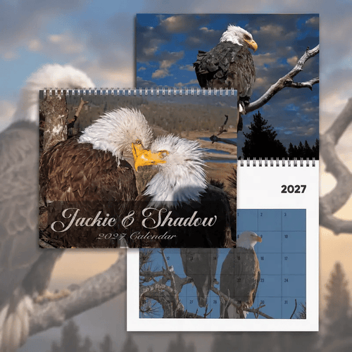 Jackie & Shadow 2027 Bald Eagle Wall Calendar