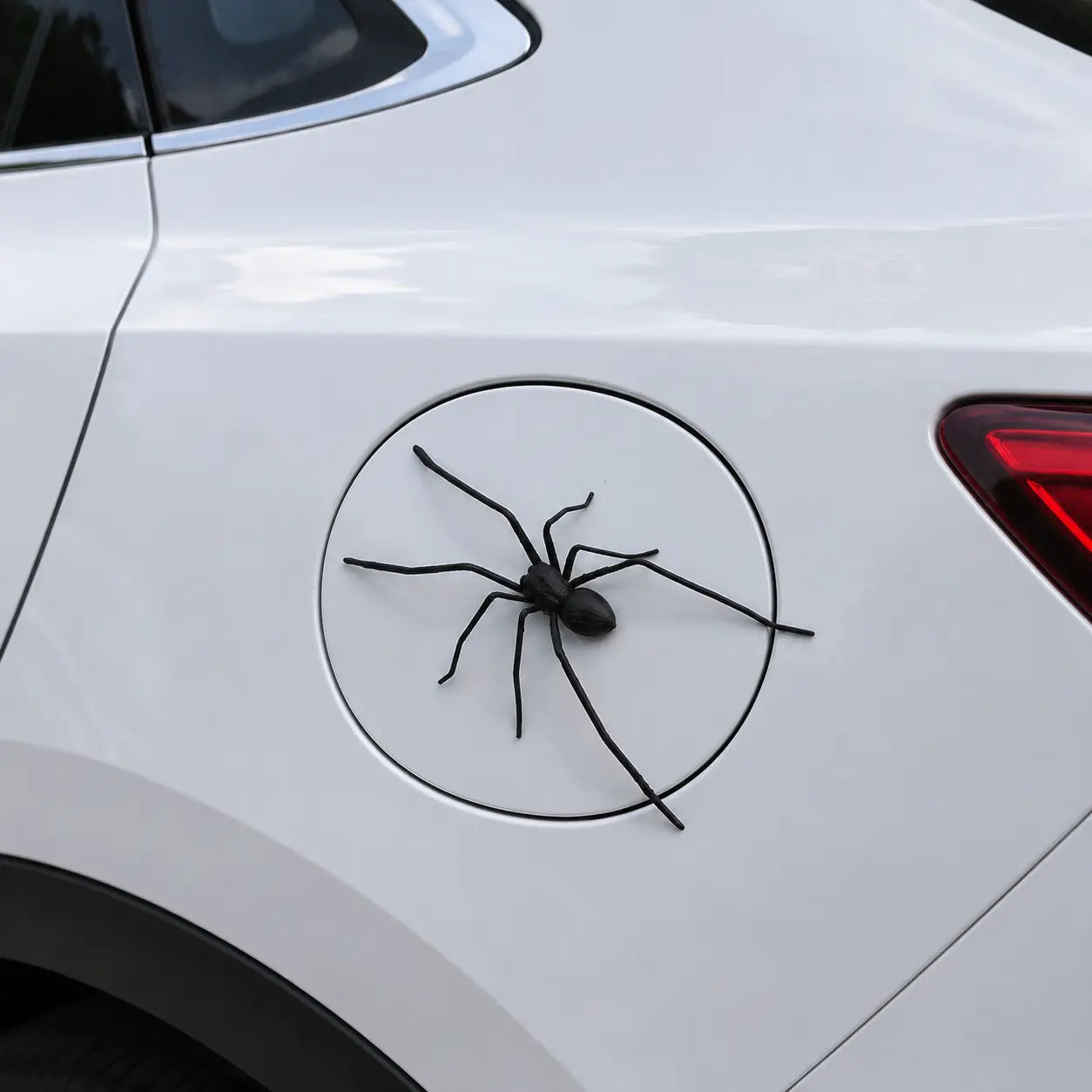 Funny Magnetic Spider Car Decor, Removable Magnet for Cars & Trucks ✅