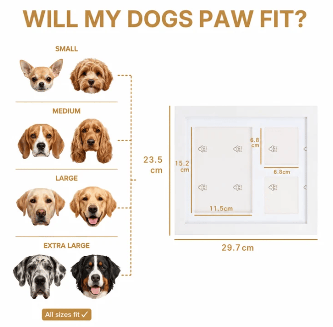 🐾 The PawsFrame | 💕Keeping Pets Forever in Memory