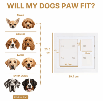 🐾 The PawsFrame | 💕Keeping Pets Forever in Memory