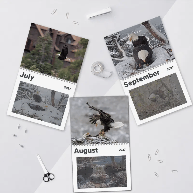 Nature inspired calendar photography
