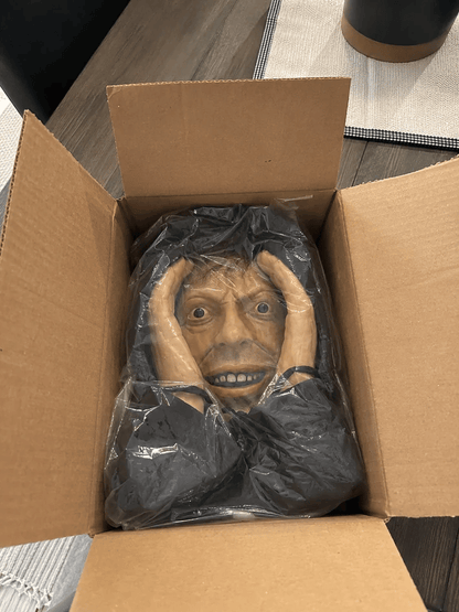 👀 'Stranger' Peeper – Creepy Halloween Window & Doorway Prank Decoration 🎃