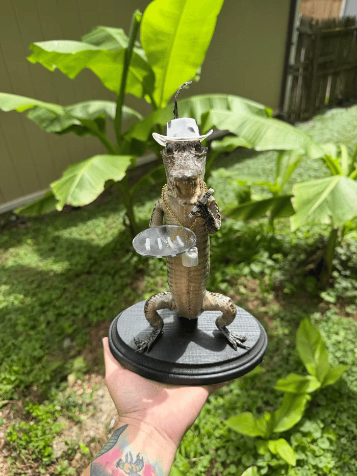 🐊 Cocne Aligator Figurine / Collectible