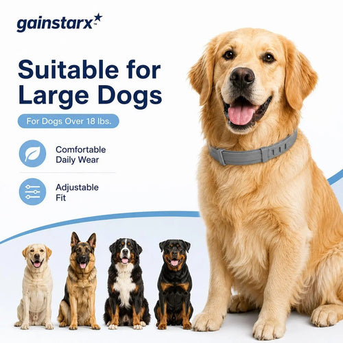 Adjustable Dog Collar with Fresh Scent Comfortable Lightweight Pet Collar