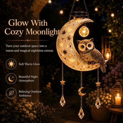 🔥Last Day 50% OFF -🌙Solar Owl Moon Garden Light🦉