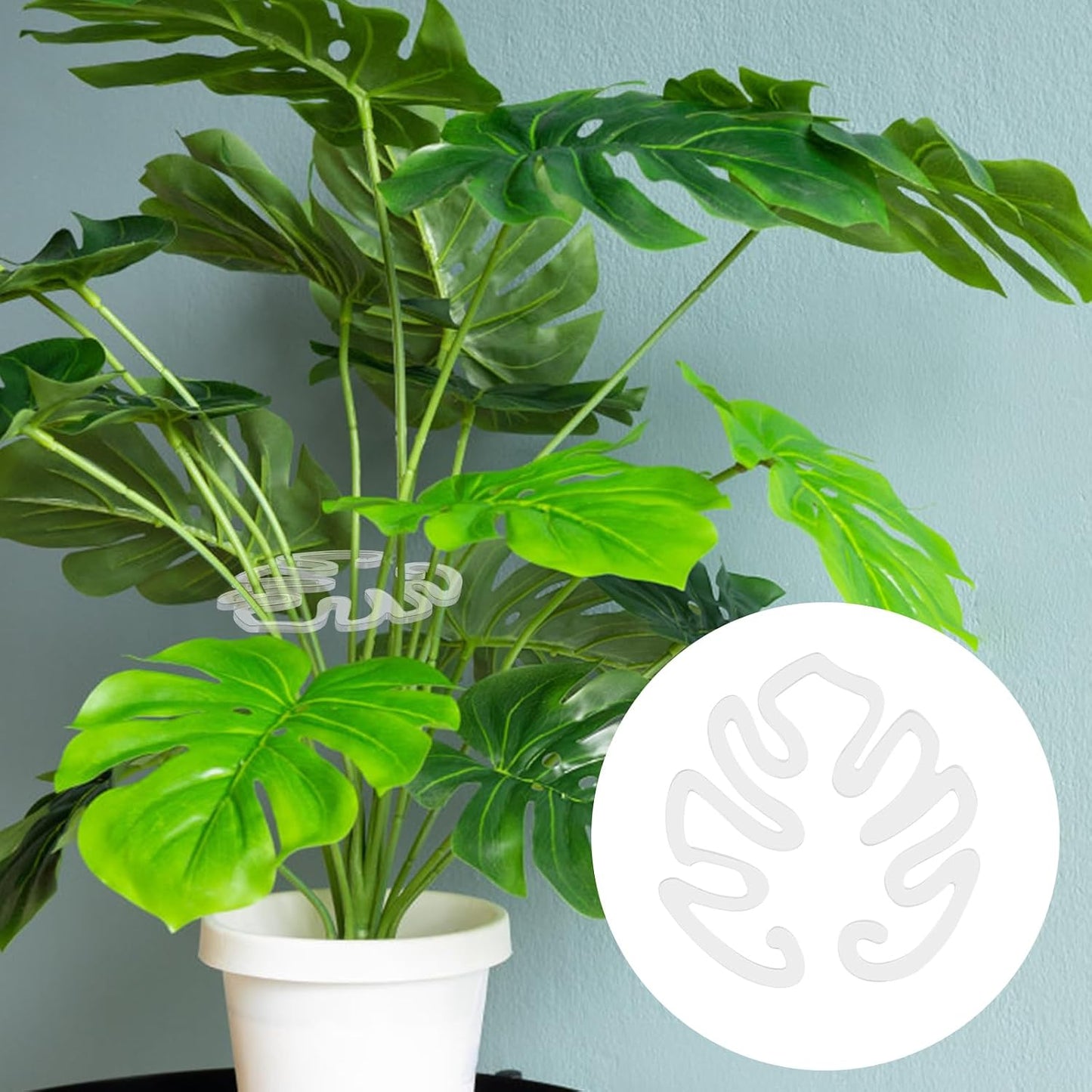 Clear Monstera Leaf Acrylic Plant Support Stake | Invisible Stem Support for Indoor Potted Plants 🌿