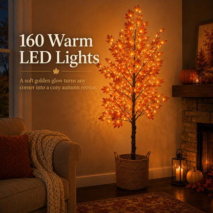 Lighted Autumn Maple Tree