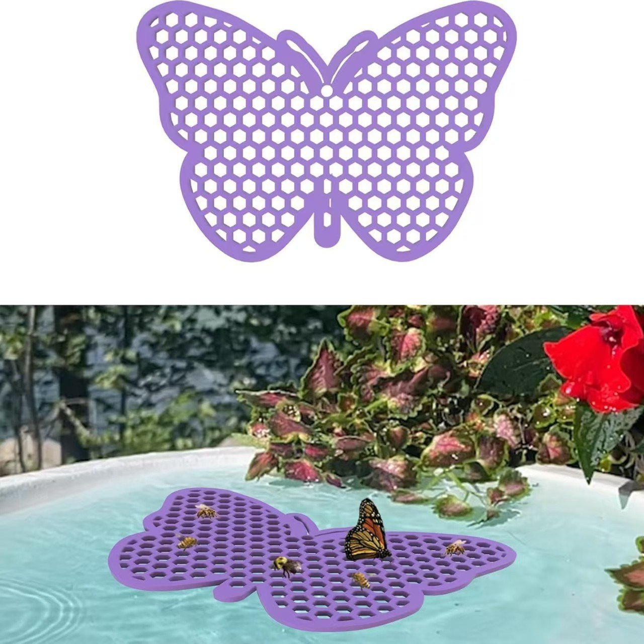 🐝 Floating Bee Station - Bee-Friendly Hydration Station